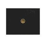Static Lid 1-Star